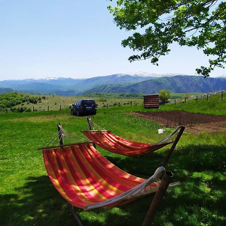 Suri Pension Plužine Buitenkant foto