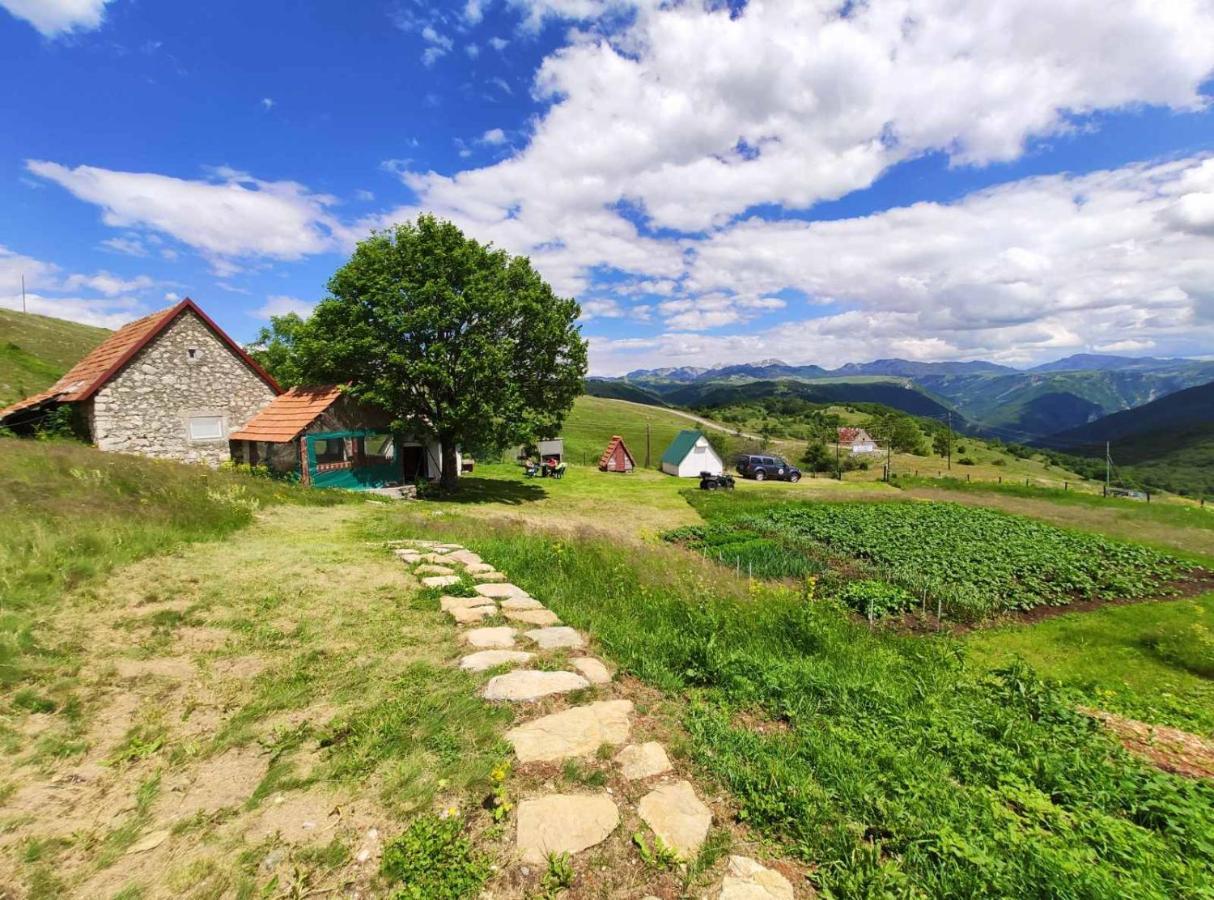 Suri Pension Plužine Buitenkant foto