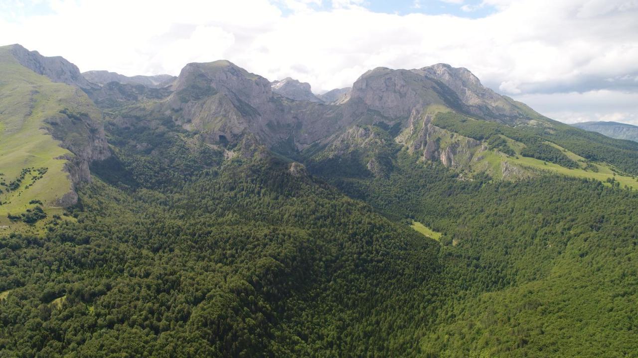 Suri Pension Plužine Buitenkant foto