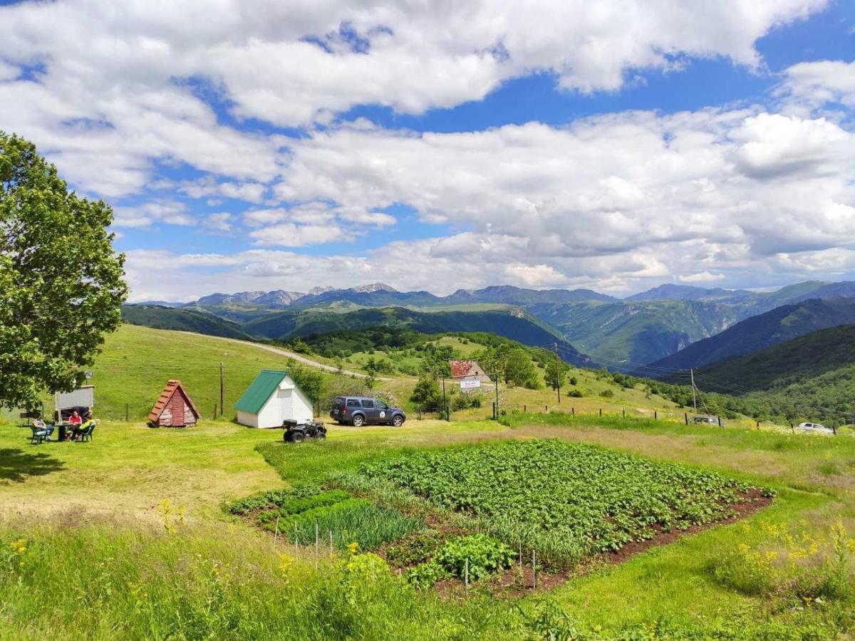 Suri Pension Plužine Buitenkant foto