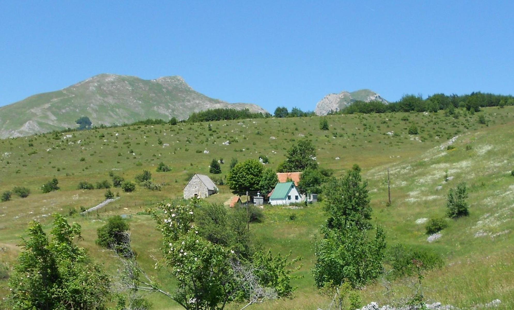 Suri Pension Plužine Buitenkant foto