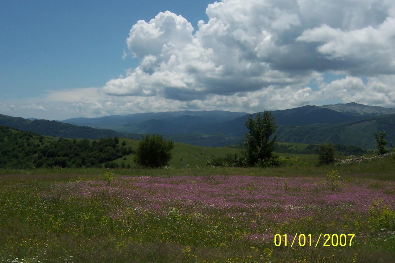 Suri Pension Plužine Buitenkant foto